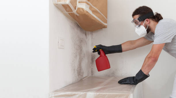 Professional Bathroom Mold Removal technician working in Dacono, CO